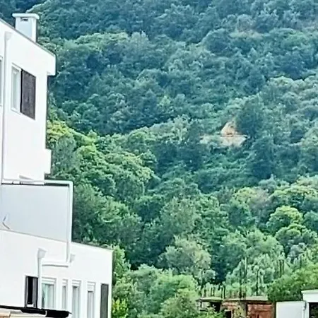 Apartment Dry Tirana
